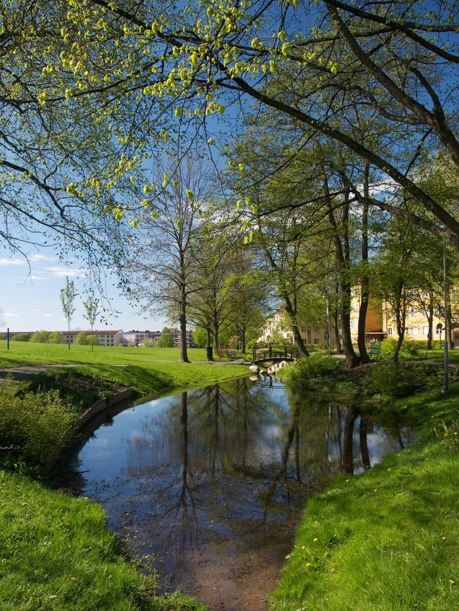 Sinnenas trädgård i Källparken, riktning syd.